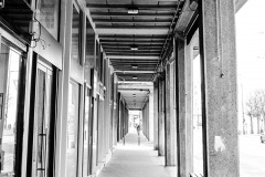 IMG_5305