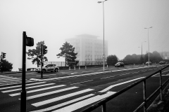 IMG_6434