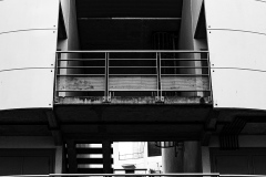 IMG_0822