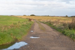 P1001715