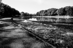 IMG_6565