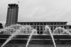 IMG_5291