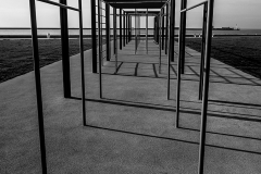 IMG_6544