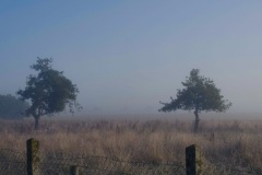 P1000123