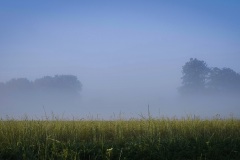 vlcsnap-2023-07-10-09h54m22s045
