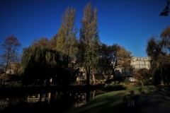IMG_1774