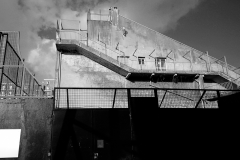 IMG_6903