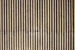 IMG_6959