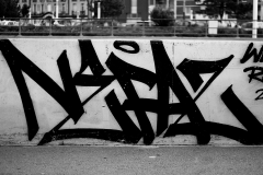 IMG_5220 Nefaz